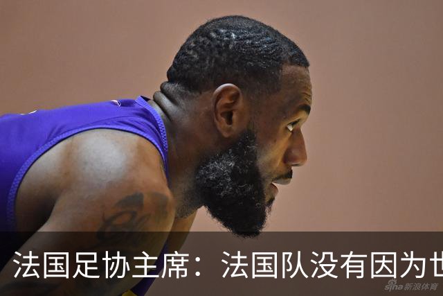 法国足协主席：法国队没有因为世界杯奖金问题而气氛紧张